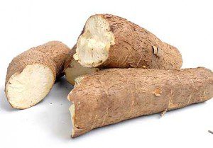 Cassava