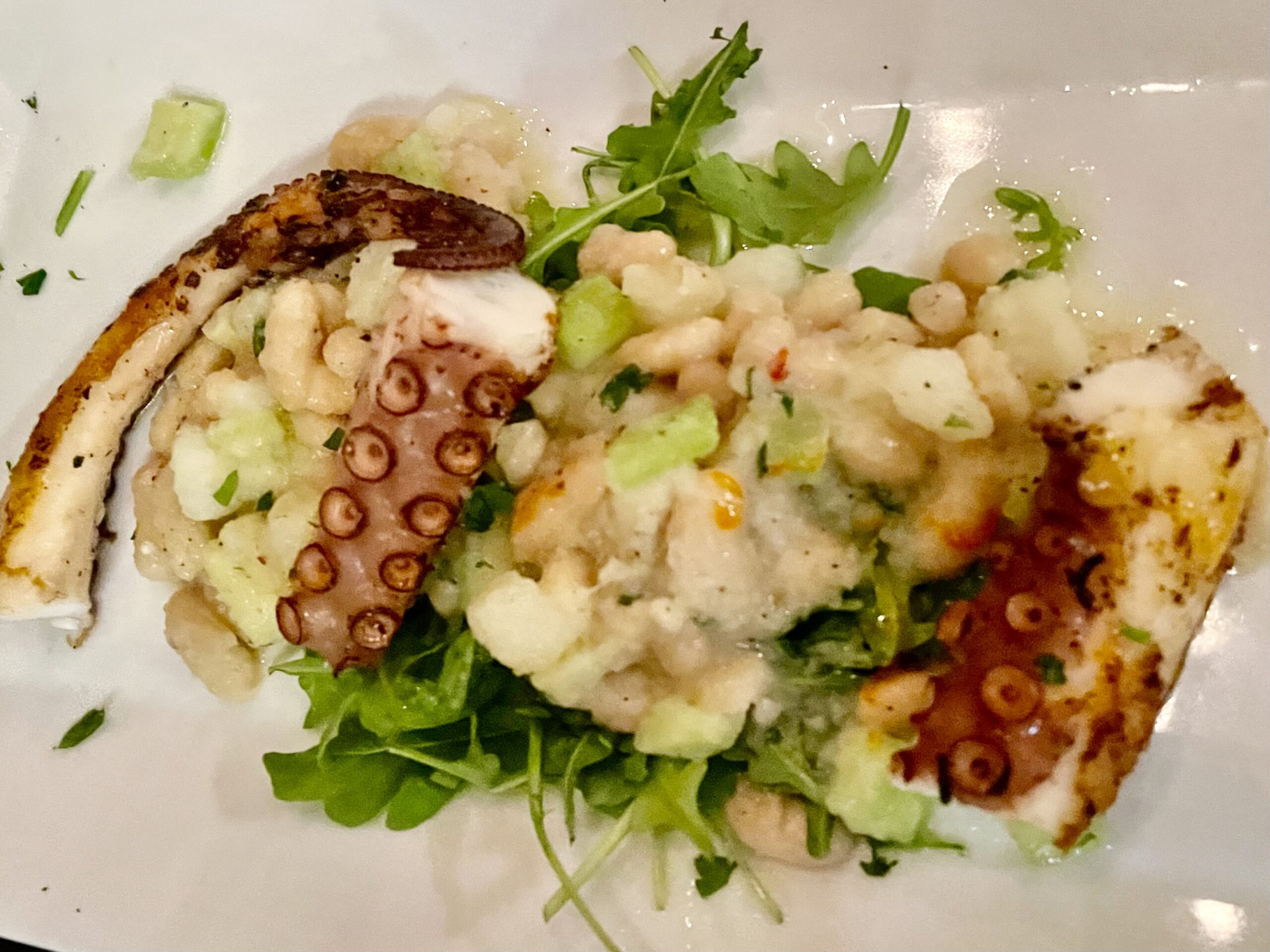 Armani's Cucina, Vero Beach, Florida | Bite of the Best